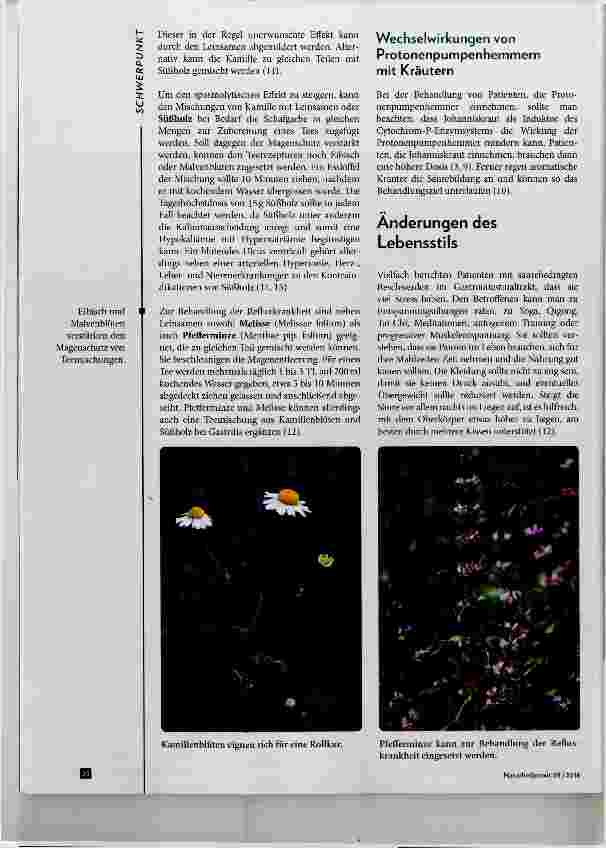Vorschauseite 4: Protonenpumpenhemmer und ihre phytotherapeutischen Alternativen