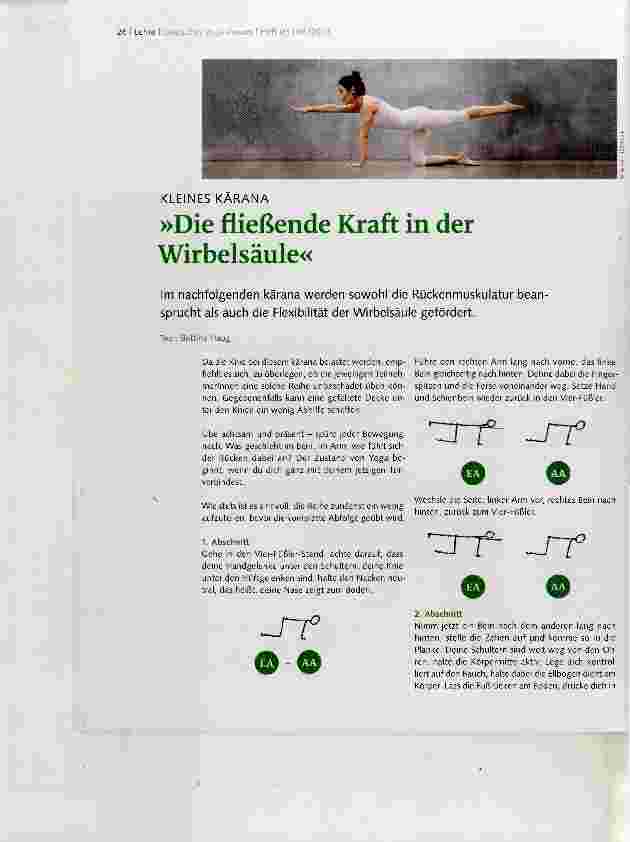 Vorschauseite 1: »Die fließende Kraft in der Wirbelsäule«
