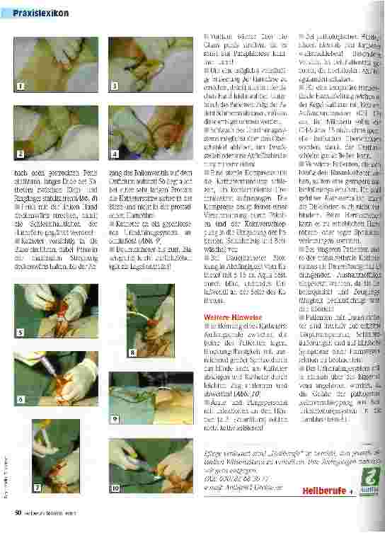 Vorschauseite 2: Transurethraler Blasenkatheter