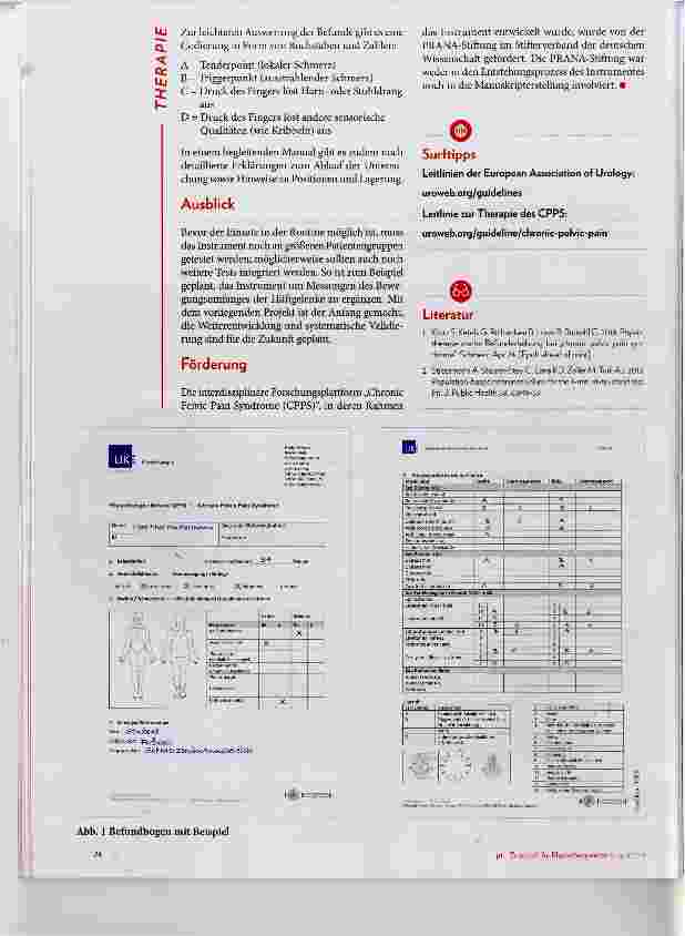 Vorschauseite 2: Entwicklung eines Befundinstruments bei chronischem Unterbauchschmerz
