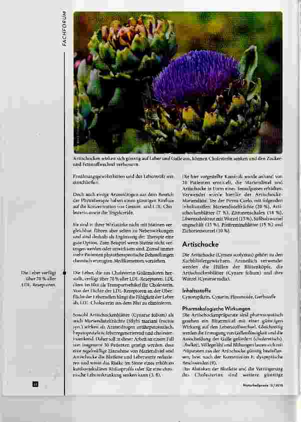 Vorschauseite 2: Hyperlipidämie