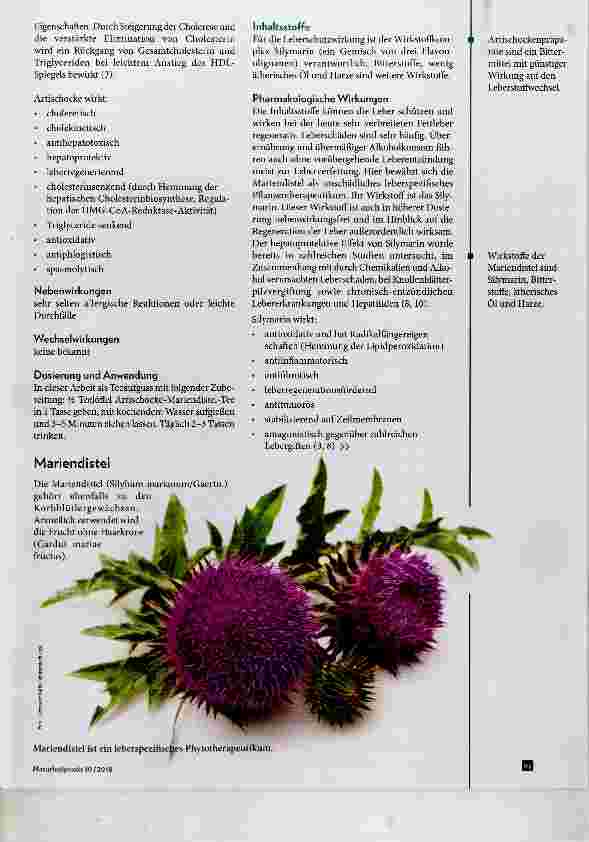 Vorschauseite 3: Hyperlipidämie