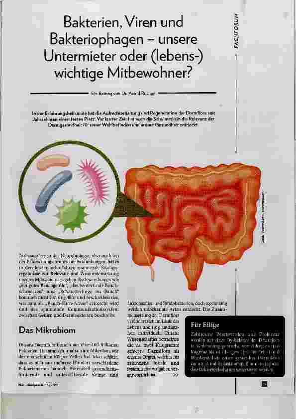 Vorschauseite 1: Bakterien, Viren und Bakteriophagen - unsere Untermieter oder (lebens-) wichtige Mitbewohner?
