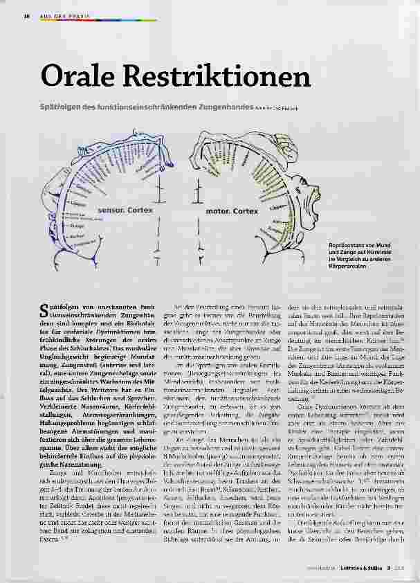 Vorschauseite 1: Orale Restriktionen