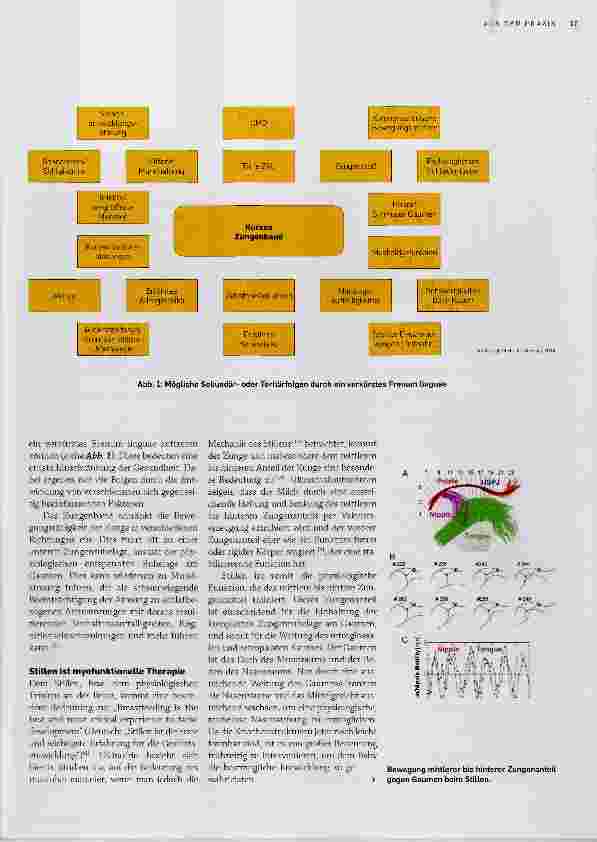 Vorschauseite 2: Orale Restriktionen