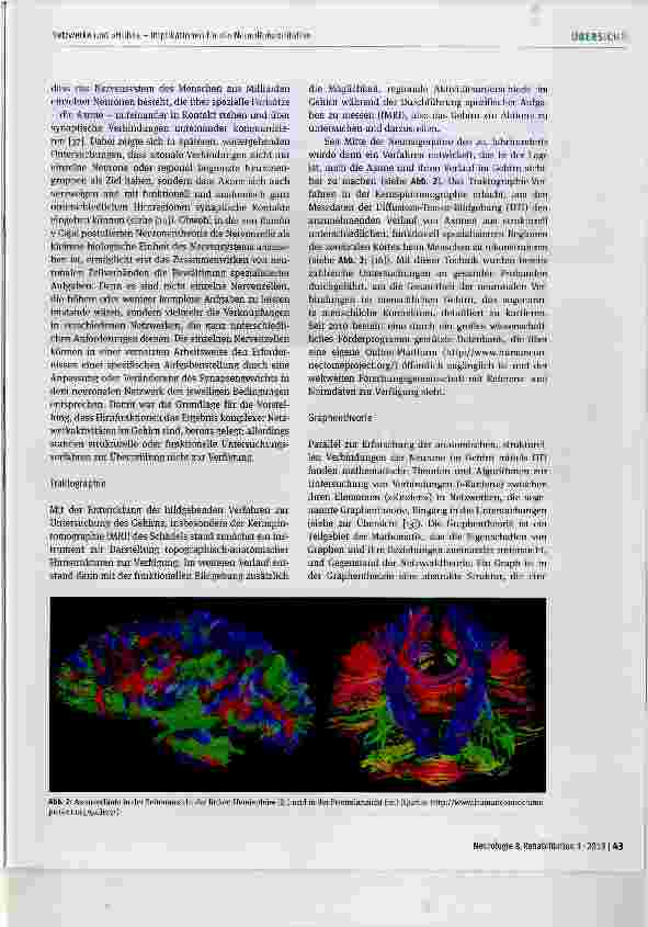 Vorschauseite 3: Netzwerke und »Hubs« Implikationen für die NeuroRehabilitation