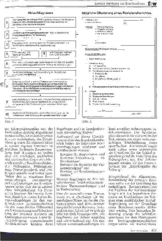 Vorschauseite 2: Interne Revision im Krankenhaus Einrichtung und Ausgestaltung