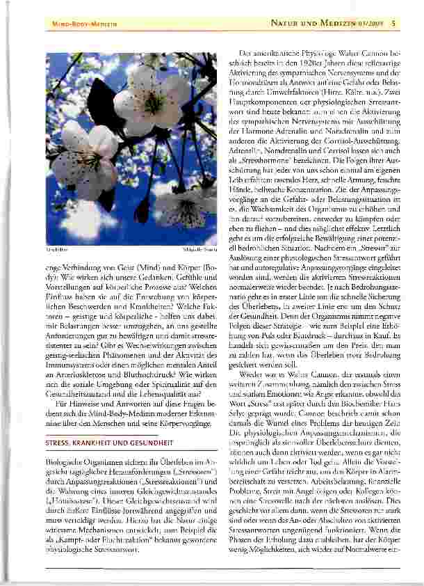 Vorschauseite 2: Mind-Body-Medizin -eine wirksame Möglichkeit der Stressbewältigung und ganzheitlichen Gesundheitsfürsorge