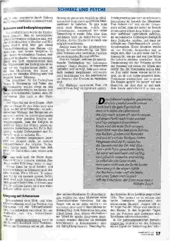 Vorschauseite 2: Der geteilte Schmerz