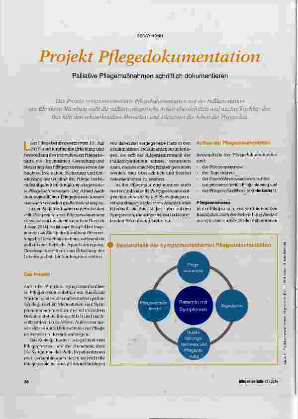 Vorschauseite 1: Projekt Pflegedokumentation