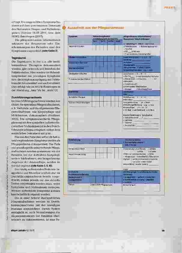 Vorschauseite 2: Projekt Pflegedokumentation