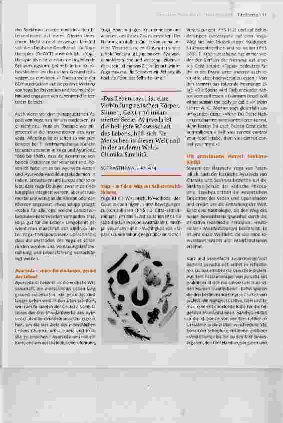 Vorschauseite 2: Yoga-Therapie ohne Ayurveda?