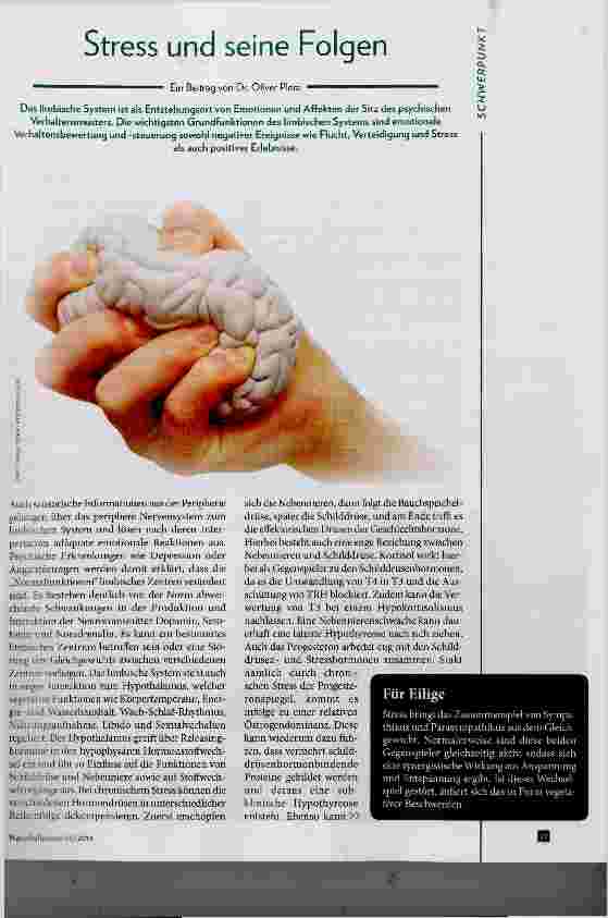 Vorschauseite 1: Stress und seine Folgen