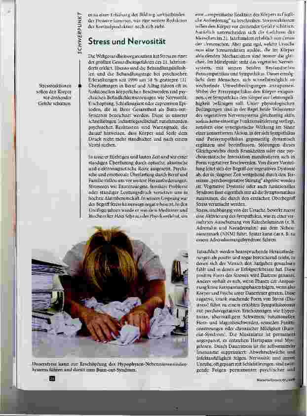 Vorschauseite 2: Stress und seine Folgen