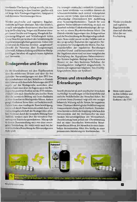 Vorschauseite 3: Stress und seine Folgen