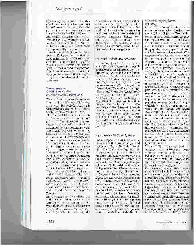 Vorschauseite 5: Wie funktioniert Kollagen Typ I? Teil II: Ein Beispiel zur Kollagensynthese
