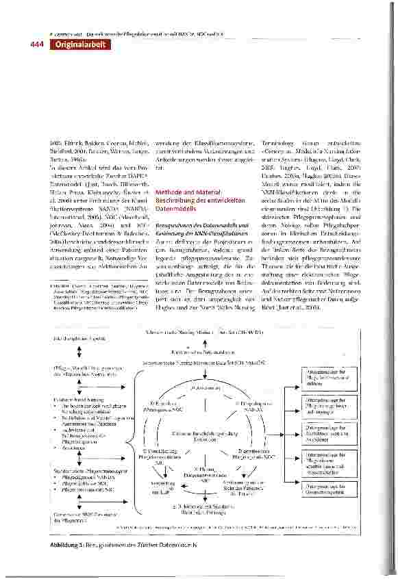 Vorschauseite 2: Die elektronische Anwendung der NANDA-, NOCund NIC-Klassifikationen und Folgerungen für die Pflegepraxis