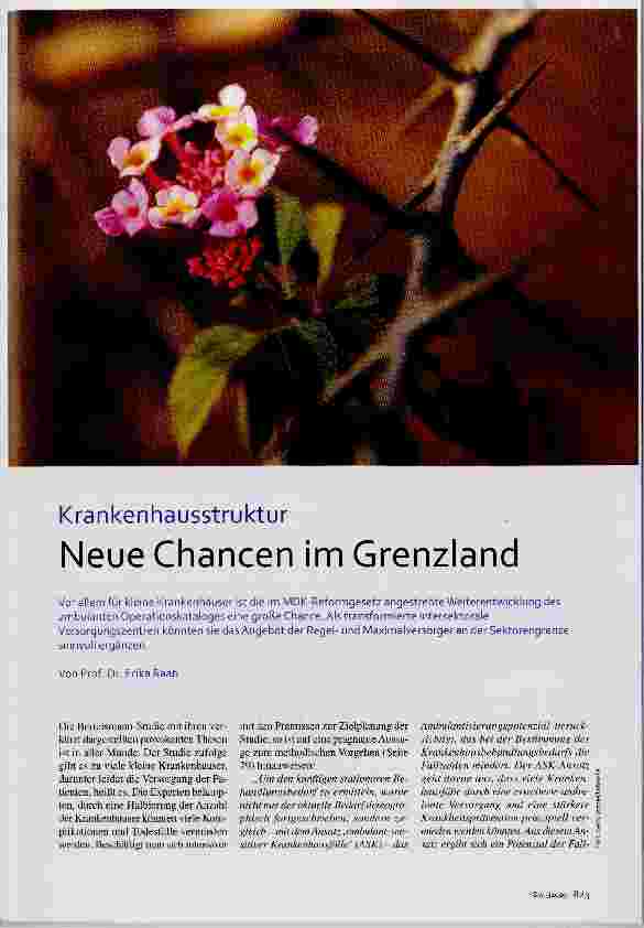 Vorschauseite 1: Krankenhausstruktur Neue Chancen im Grenzland
