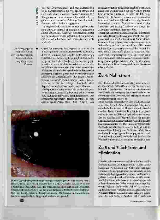Vorschauseite 3: Die Energiesituation in der Augendiagnose