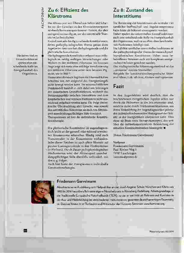 Vorschauseite 5: Die Energiesituation in der Augendiagnose