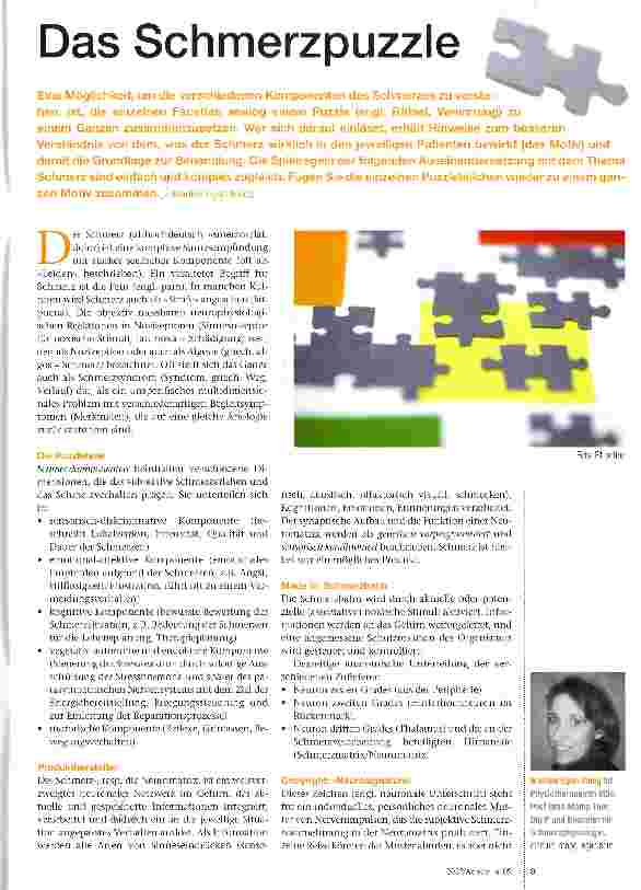 Vorschauseite 1: Das Schmerzpuzzle