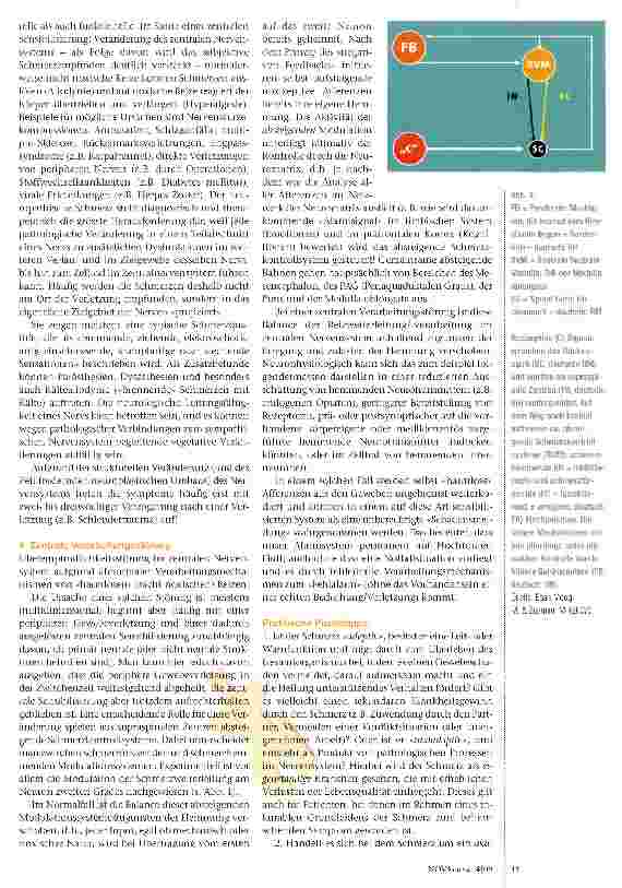 Vorschauseite 3: Das Schmerzpuzzle