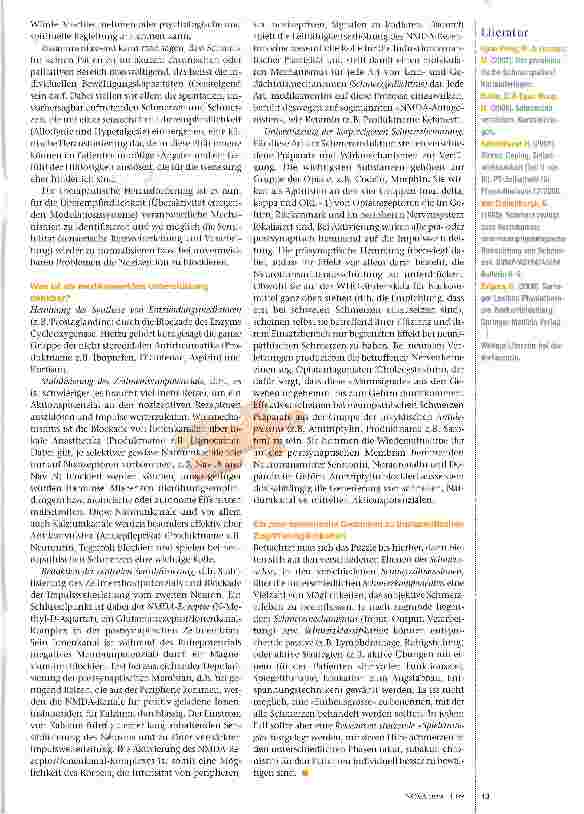 Vorschauseite 5: Das Schmerzpuzzle