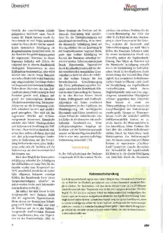 Vorschauseite 3: Die Pathophysiologie der Brandwunde