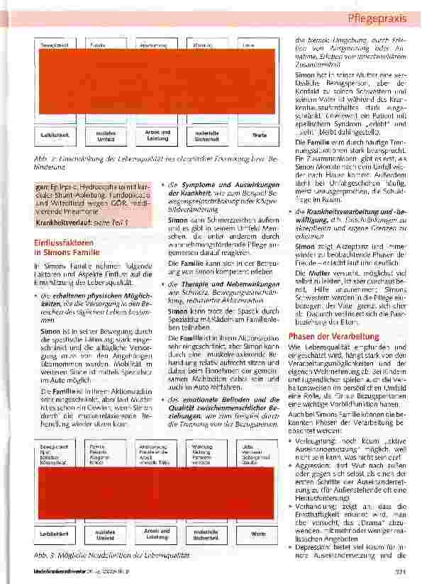 Vorschauseite 2: Chronisch krank, eine lebenslange Aufgabe, betrachtet aus drei verschiedenen Perspektiven Der Aspekt Lebensqualität (Teil 2)