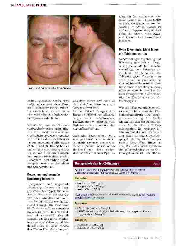 Vorschauseite 2: Strategien für den Einstieg in die Insulintherapie