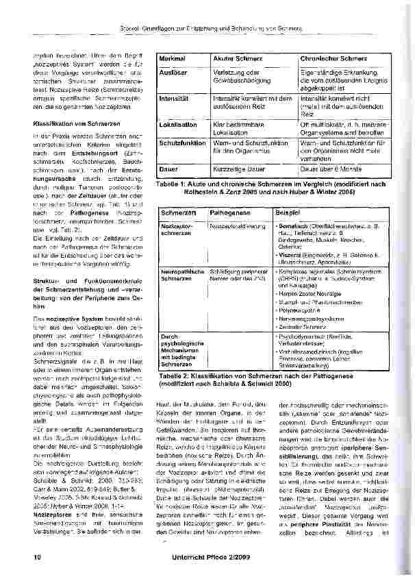 Vorschauseite 2: Grundlagen zur Entstehung und Behandlung von Schmerz