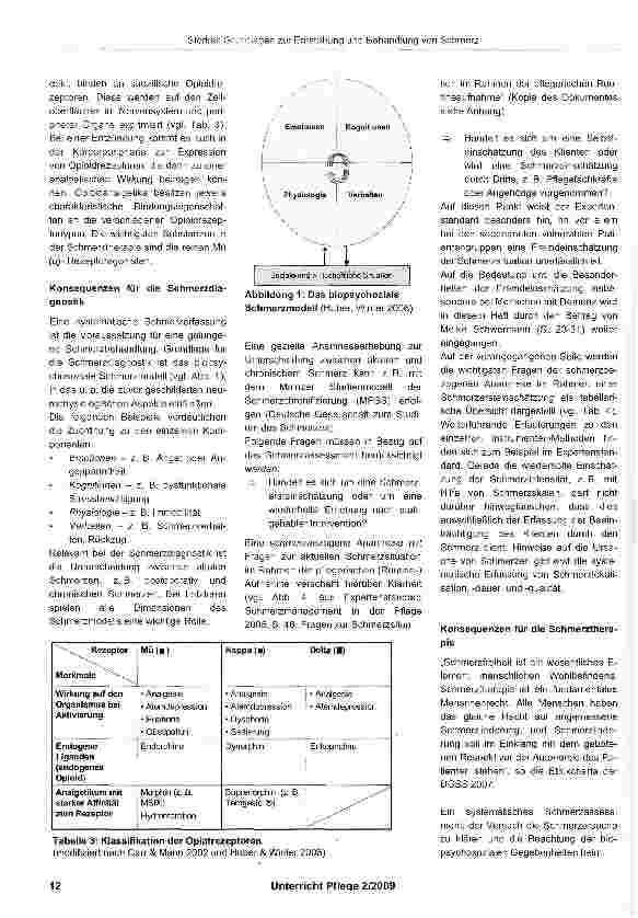 Vorschauseite 4: Grundlagen zur Entstehung und Behandlung von Schmerz