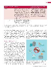 Vorschauseite 4: Tigermücken und Dengue-Fieber: Bald auch eine Bedrohung in Mitteleuropa?