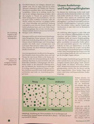 Vorschauseite 2: Fluss des Lebens Wasser für Ausleitung und Entgiftung