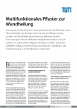 Vorschauseite 1: Multifunktionales Pflaster zur Wundheilung