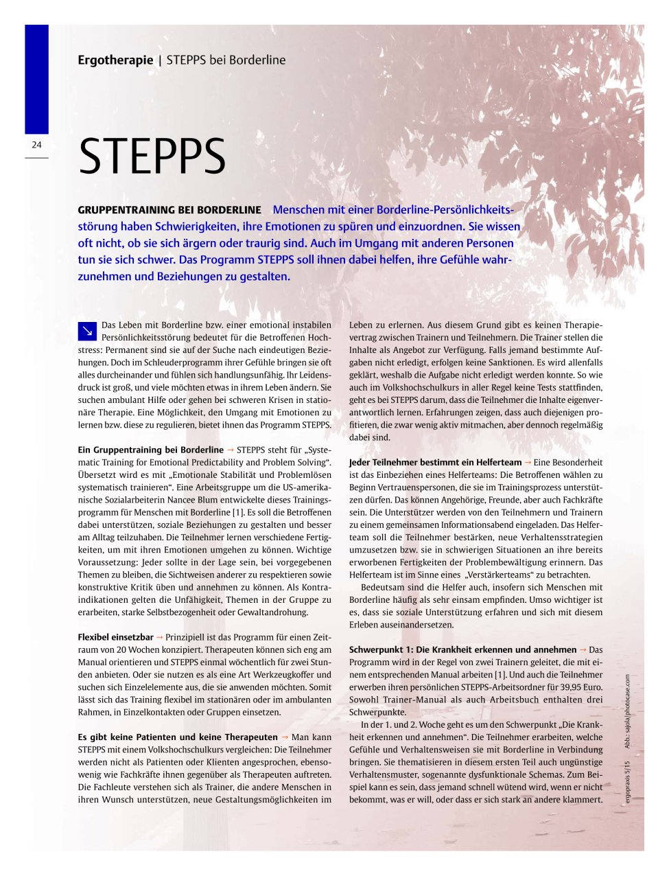 Vorschauseite 1: STEPPS ? Gruppentraining bei Borderline