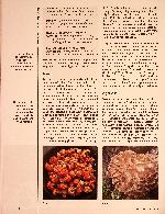 Vorschauseite 4: Mykotherapie in der TCM