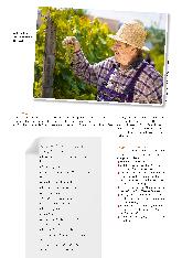 Vorschauseite 2: Die Weinlese