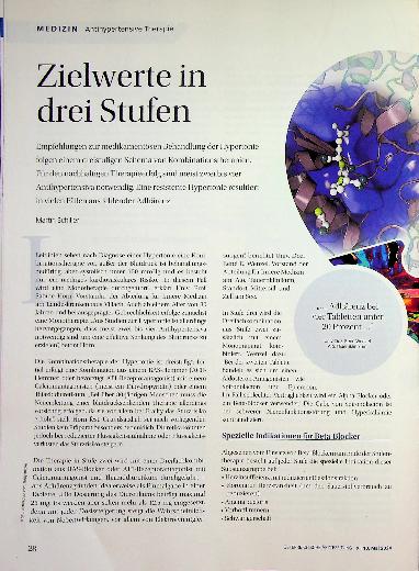 Vorschauseite 1: Zielwerte in drei Stufen