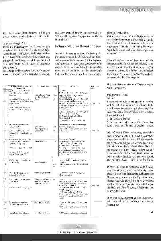 Vorschauseite 2: Pflegeplanung ist keine Hexerei