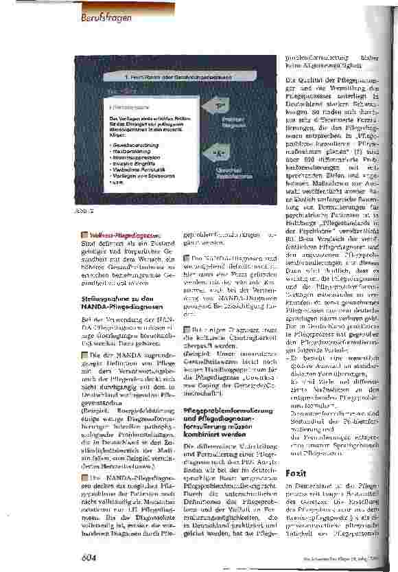 Vorschauseite 4: Pflegediagnosen der NANDA Entwicklung und Bedeutung der Pflegediagnosen