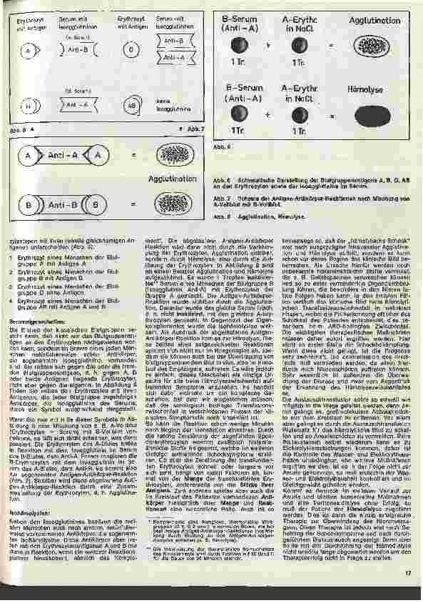 Vorschauseite 2: Transfusionskunde, Blutgruppenserologie und Immunhämatologie 7. Folge: III. Serologie bedingte Transfusionsstörungen (1)