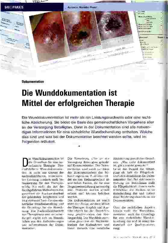 Vorschauseite 1: Die Wunddokumentation ist Mittel der erfolgreichen Therapie