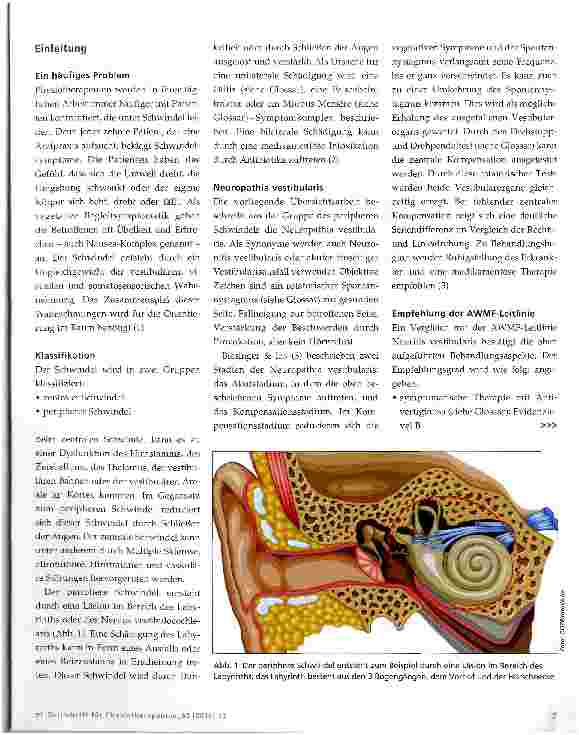 Vorschauseite 2: Schwindeltraining in der Physiotherapie