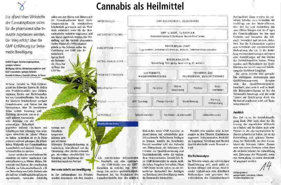 Vorschauseite 1: Cannabis als Heilmittel