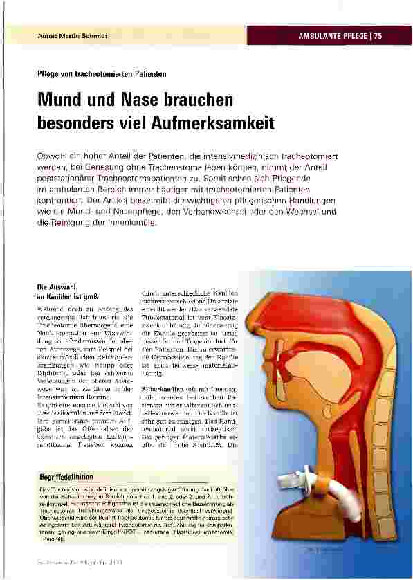 Vorschauseite 1: Mund und Nase brauchen besonders viel Aufmerksamkeit
