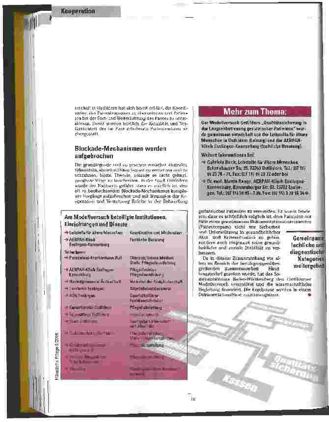 Vorschauseite 5: Markenzeichen: Patientenpass Qualitätssicherung in der Langzeitbetreuung geriatrische Patienten im Netzwerk