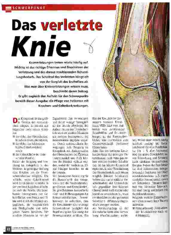 Vorschauseite 1: Das verletzte Knie