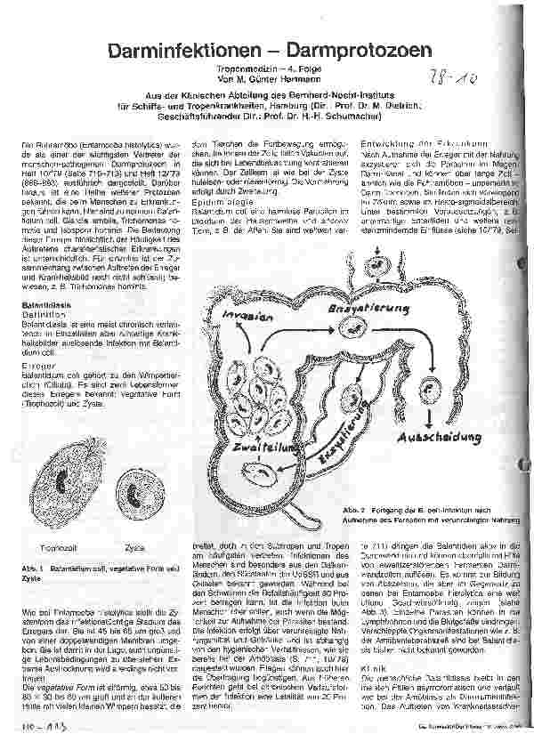 Vorschauseite 1: Darminfektionen - Darmprotozoen