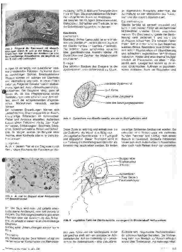 Vorschauseite 2: Darminfektionen - Darmprotozoen
